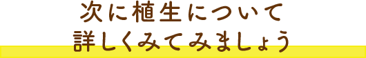 次に植生について詳しくみてみましょう