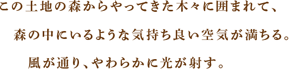 この土地の森からやってきた木々に囲まれて、森の中にいるような気持ち良い空気が満ちる。風が通り、やわらかに光が射す。