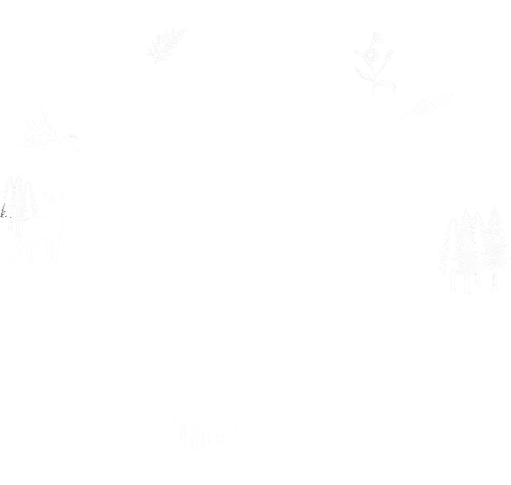 森から暮らしへめぐるめぐみ 坂元植林の家