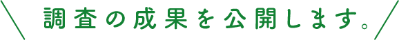 調査の成果を公開します。